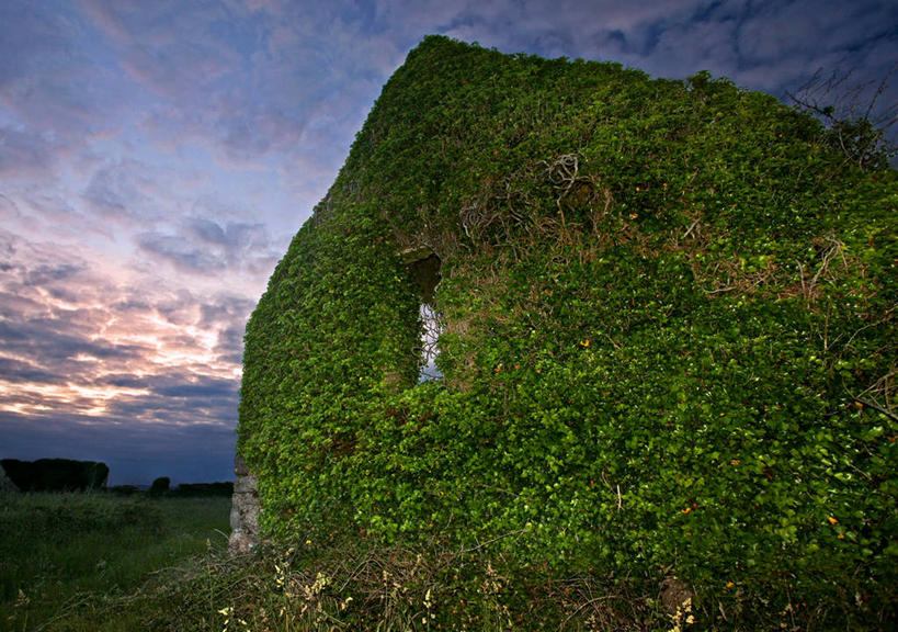 无人,横图,室外,白天,日落,建筑,爱尔兰,云,常春藤,废墟,绿色,摄影,韦克斯福德郡,彩图