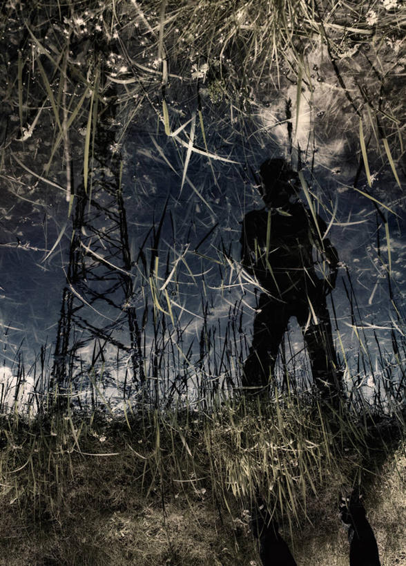 无人,竖图,室外,神秘,河流,德国,反射,草,摄影,怪异,彩图