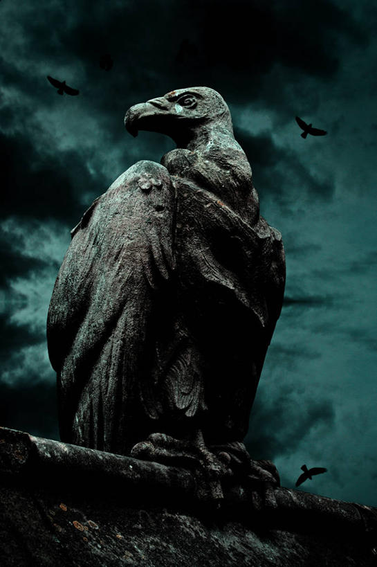 无人,竖图,室外,仰视,英国,艺术,雕像,云,宏伟,数码合成,一个,黄昏,摄影,单个,哥特式风格,支配,秃鹰,彩图,低角度拍摄