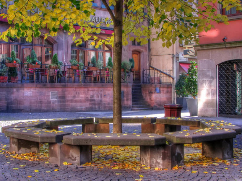 无人,广场,横图,室外,白天,城市,法国,圆形,长椅,树,摄影,宁静,斯特拉斯堡,秋天,彩图