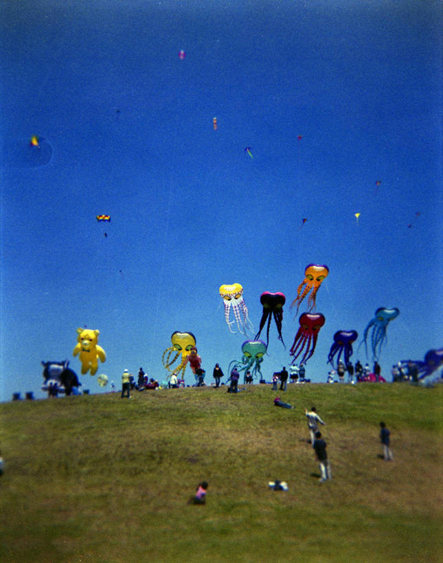 竖图,室外,白天,纯洁,山,熊,美国,许多人,拿着,风筝,一群人,可爱,童年,童趣,摄影,加利福尼亚,童真,烂漫,无邪,万里无云,伯克利,无忧无虑,天真,彩图