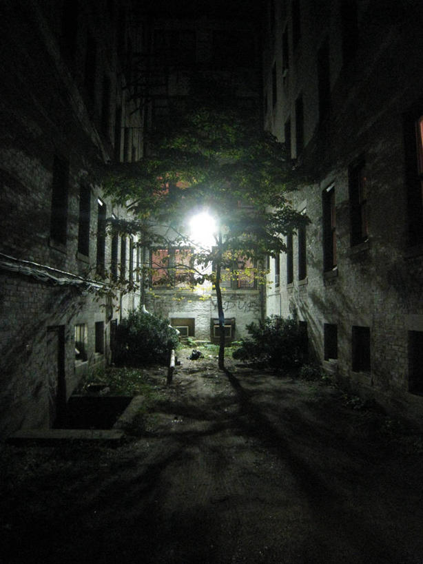 无人,竖图,室外,夜晚,城市,美国,房屋,树,摄影,生长,灌木,照亮,照明设备,马萨诸塞,彩图,巷