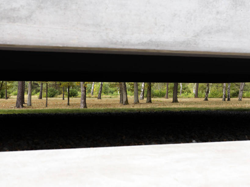 无人,横图,室外,白天,旅游,度假,美景,树林,德国,一排,整齐,景观,娱乐,树干,排列,自然,享受,休闲,景色,放松,摄影,宁静,死亡,暴力,队列,自然风光,集中营,彩图,灭种,大屠杀