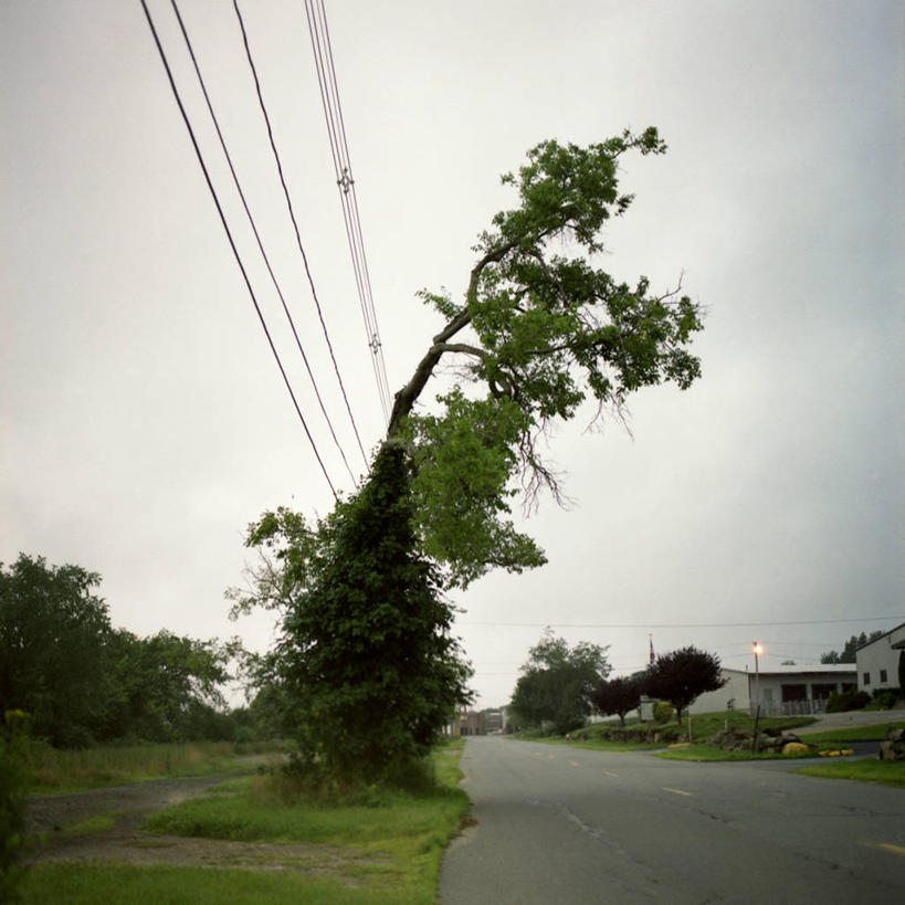 无人,方图,室外,白天,路,美国,郊区,联系,树,自然,靠,靠着,力量,摄影,生长,能源,彩图,电力线