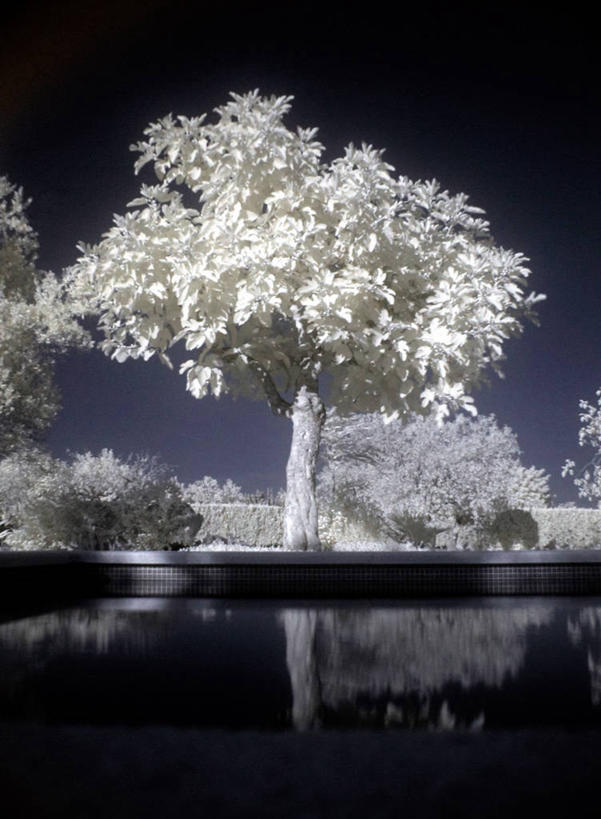 无人,竖图,室外,水,西班牙,反射,白色,风景,摄影,灌木,宁静,马略卡,无花果树,彩图