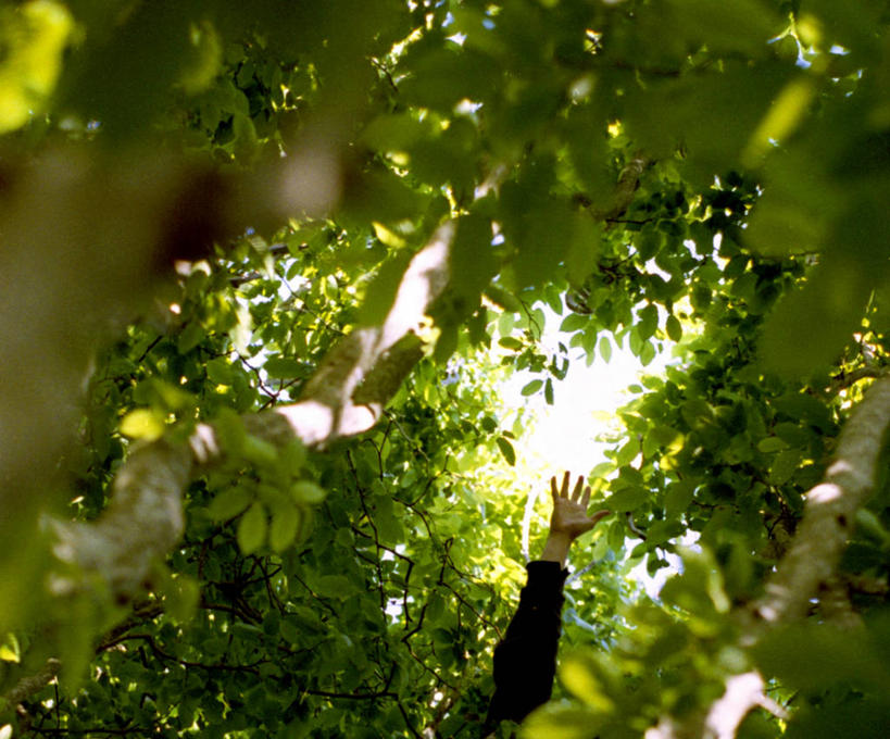 手,一个人,横图,室外,白天,抽象,叶子,日光,美国,伸手,人体,摄影,部分,马萨诸塞,彩图,全画面,全框架,全帧,全画幅,苦尽甘来