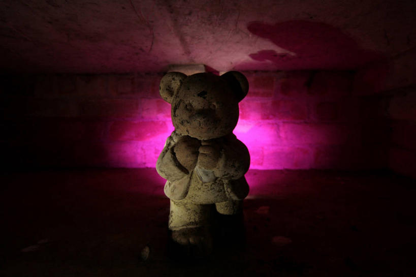 无人,横图,室内,夜晚,神秘,英国,泰迪熊,一个,紫色,摄影,单个,简单,恐怖,逆光,惊骇,想法,彩图