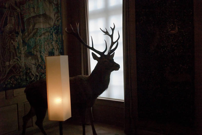 无人,博物馆,横图,室内,法国,巴黎,首都,灯,摄影,展览,照亮,雄鹿,彩图