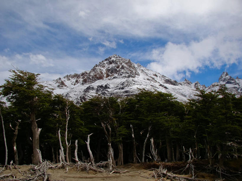 无人,横图,室外,白天,旅游,度假,美景,森林,山,阿根廷,景观,山顶,宏伟,娱乐,风景,天空,自然,享受,休闲,景色,放松,摄影,宁静,自然风光,圣克鲁斯省,彩图