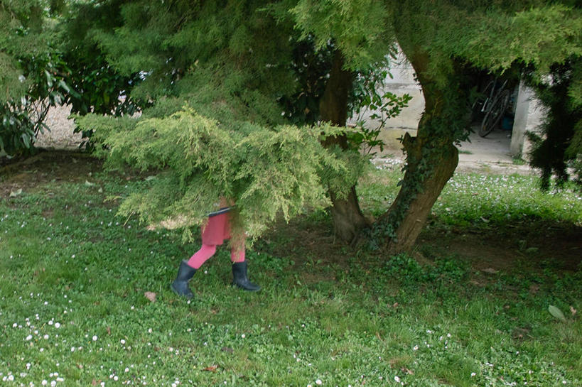 儿童,腿,一个人,横图,俯视,室外,白天,纯洁,法国,仅一个女性,仅一个人,朦胧,模糊,雨鞋,草,树,小孩,仅一个小孩,可爱,童年,童趣,人体,摄影,灌木,隐藏,童真,烂漫,无邪,奥布省,天真,女孩,女人,女性,孩子,彩图,高角度拍摄,女生