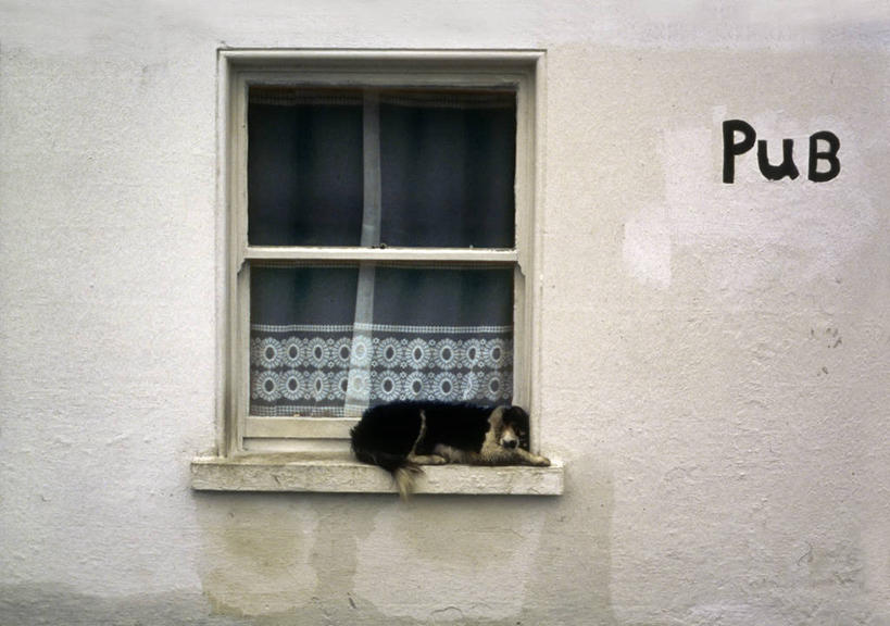 无人,横图,室外,白天,狗,爱尔兰,窗台,放松,摄影,英文字母,幽默,阿伦群岛,睡觉,彩图,酒馆