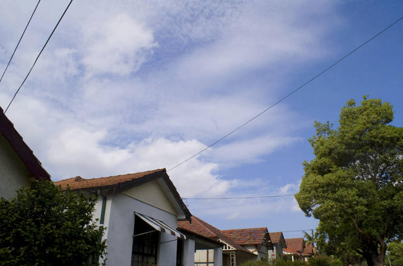 无人,横图,室外,白天,仰视,建筑,街道,澳大利亚,一排,整齐,房屋,树,排列,摄影,宁静,队列,悉尼,卷云,彩图,低角度拍摄,电力电缆