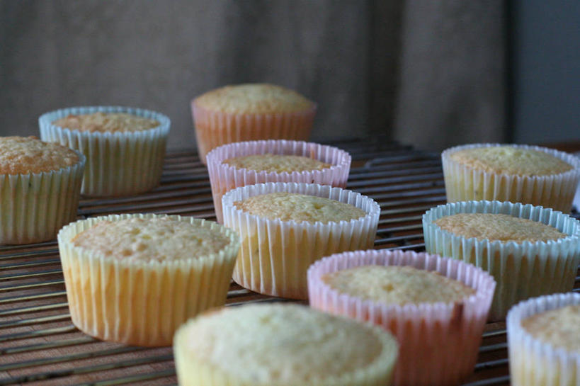 无人,横图,室内,特写,白天,厨房,美国,诱惑,摄影,北美,北美洲,美洲,北亚美利加洲,亚美利加洲,密歇根,密歇根州,貂熊州,狼獾之州,狼獾州,安娜堡,冷却架,纸托蛋糕,彩图,美利坚合众国