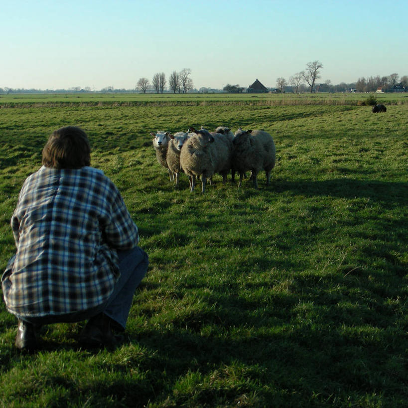 西方人,成年人,中年人,老年人,一个人,方图,室外,白天,衬衫,农业,牧场,美景,欧洲,欧洲人,仅一个男性,仅一个人,仅一个中年男性,放牧,地平线,地形,景观,辽阔,地面,背面,自然,广阔,景色,摄影,牲畜,一望无际,自然风光,延伸,天地相交,无边无际,一马平川,弗里斯兰省,男人,男性,中年男性,白种人,跪着,彩图,服从,景观设计