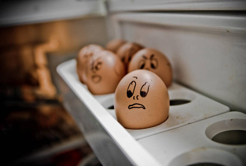 无人,横图,室内,特写,白天,西班牙,一排,整齐,冰箱,洞,排列,摄影,幽默,队列,卵,卡斯特利翁省,彩图