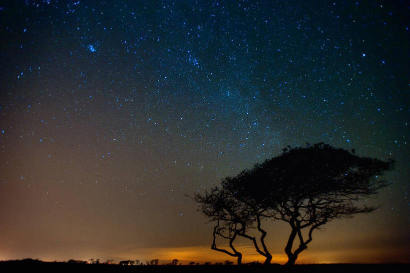 无人,横图,室外,夜晚,流星,美景,美国,地平线,景观,星星,辽阔,地面,宏伟,树,风景,自然,广阔,景色,摄影,宁静,一望无际,自然风光,延伸,剪影,天地相交,无边无际,一马平川,彩图