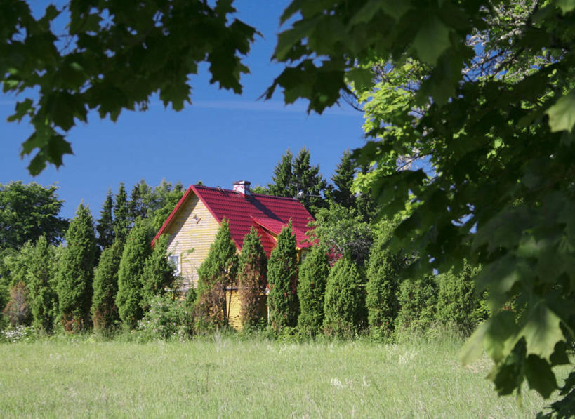 无人,横图,室外,白天,旅游,度假,草原,美景,叶子,爱沙尼亚,房屋,景观,田地,娱乐,草,树,风景,自然,享受,休闲,景色,放松,摄影,宁静,自然风光,彩图,独处