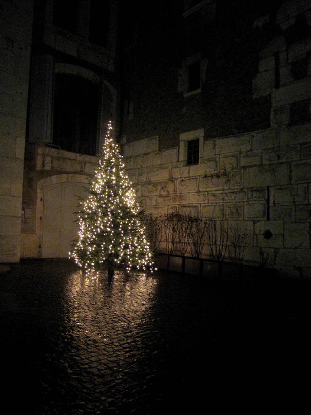 无人,竖图,室外,夜晚,寂寞,建筑,瑞士,圣诞节,湿,反射,冬天,古城,圣诞树,历史,摄影,照亮,日内瓦,彩图