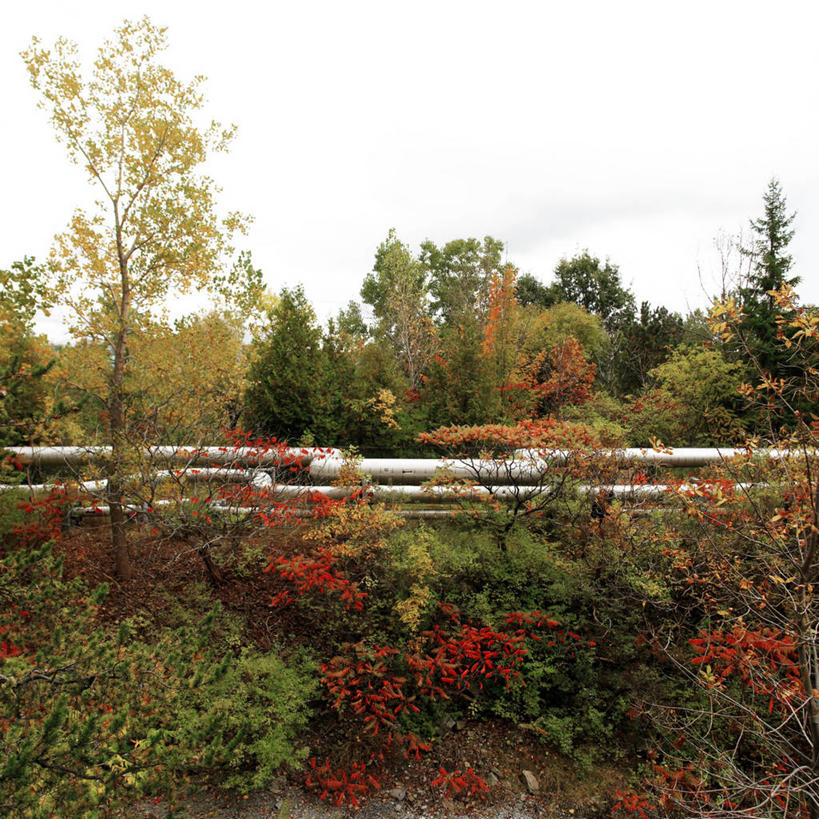 无人,方图,室外,白天,建材,美景,树林,金属制品,加拿大,金属,管子,地形,景观,联系,管道,树,自然,钢管,景色,工业,摄影,宁静,环境,自然风光,建筑材料,彩图,输油管道