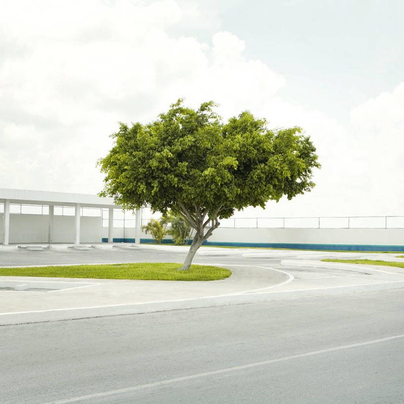 无人,方图,室外,白天,美景,弯曲,地形,景观,路边,风景,自然,景色,摄影,宁静,拉丁美洲,自然风光,坎昆,落叶树,彩图