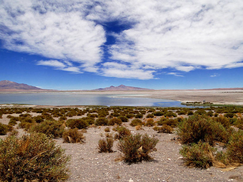 无人,横图,室外,白天,湖,河流,美景,智利,地平线,地形,景观,辽阔,地面,草,自然,广阔,景色,摄影,宁静,一望无际,自然风光,延伸,天地相交,无边无际,一马平川,卷云,彩图