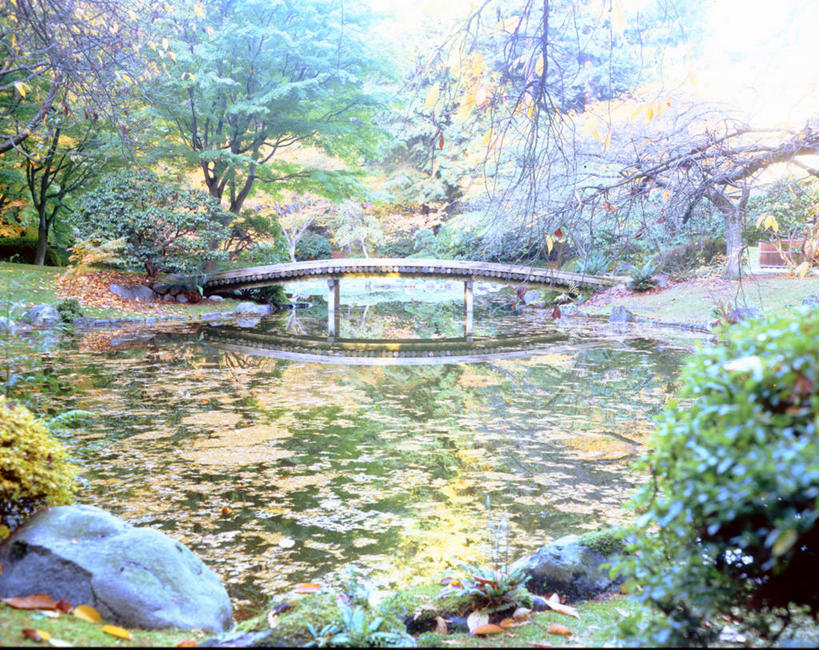 无人,公园,横图,室外,白天,河流,美景,反射,景观,桥,风景,自然,景色,摄影,褪色,宁静,自然风光,落叶树,温哥华,彩图