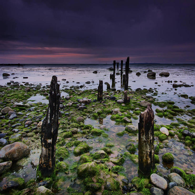 无人,方图,室外,海洋,美景,日落,水,多云,丹麦,景观,水平线,苔藓,风景,自然,景色,摄影,宁静,自然风光,彩图,石化木