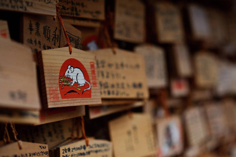 无人,横图,室内,特写,白天,东京,日本,节日,日本文化,日文,首都,文化,祈祷,健康,许愿,摄影,宗教,信仰,纪念,神道,祈求,神道教,平安,彩图,瑞亚