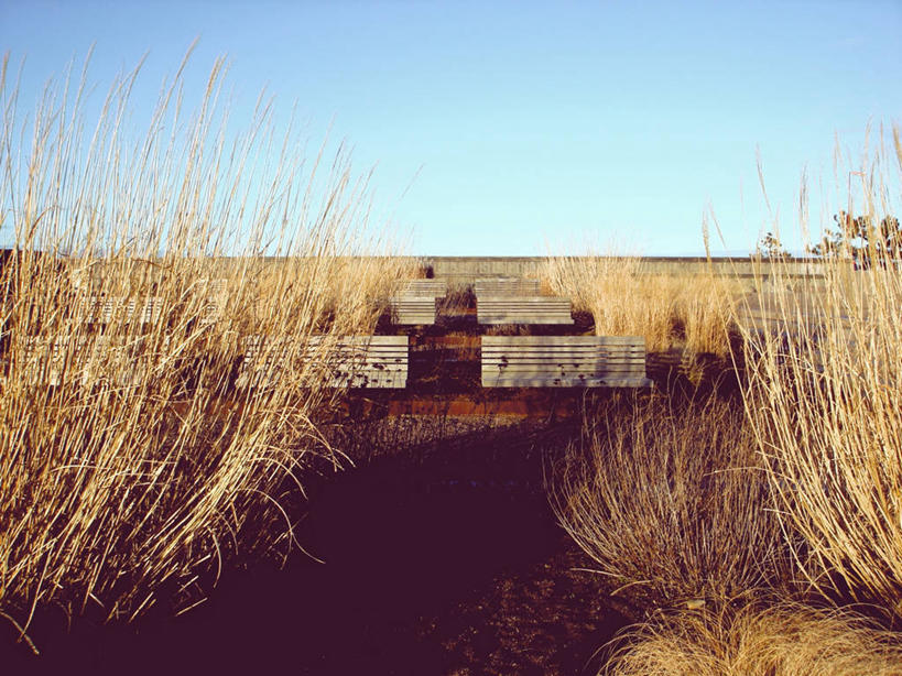 无人,横图,室外,白天,日光,瑞典,一排,整齐,长椅,地平线,辽阔,地面,草,排列,风景,广阔,摄影,宁静,一望无际,队列,延伸,万里无云,天地相交,马尔默,无边无际,一马平川,彩图