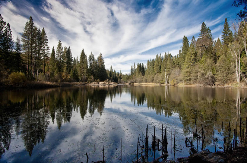 无人,横图,室外,白天,湖,美景,森林,反射,地形,景观,风景,自然,景色,摄影,宁静,加利福尼亚,自然风光,常绿树,卷云,彩图,景观设计