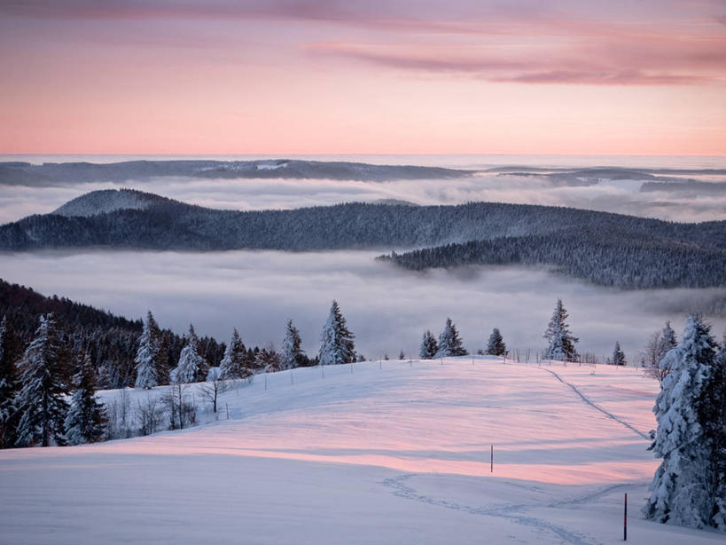 无人,横图,室外,美景,森林,山脉,雪,雾,地平线,地形,景观,冬天,辽阔,地面,黎明,风景,自然,广阔,景色,摄影,宁静,一望无际,自然风光,延伸,天地相交,常绿树,无边无际,一马平川,黑森林,彩图