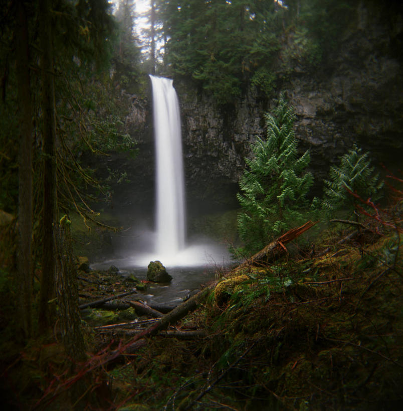 无人,方图,室外,白天,瀑布,树林,美国,喷,飞溅,溅,苔藓,自然,摄影,宁静,圆木,纯净,华盛顿州,岩石,针叶树,彩图