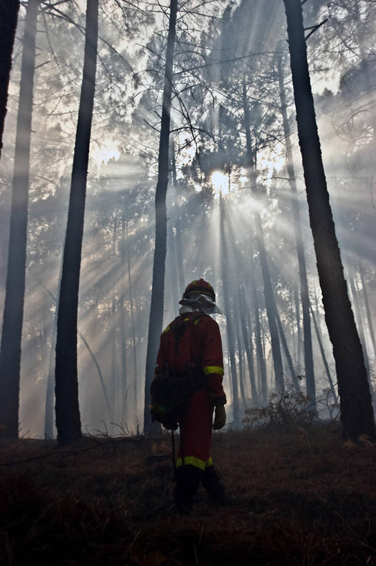 成年人,一个人,消防员,竖图,室外,白天,山,树林,西班牙,仅一个男性,树,安全帽,服务,摄影,上升,阿维拉,避火服