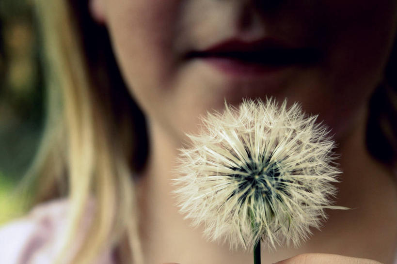 儿童,头发,一个人,横图,室内,特写,正面,纯洁,蒲公英,美国,仅一个女性,仅一个人,小孩,仅一个小孩,金色,可爱,童年,童趣,许愿,人体,摄影,北美,北美洲,脆弱,美洲,童真,烂漫,无邪,佛罗里达,佛罗里达州,佛州,阳光州,北亚美利加洲,亚美利加洲,塔拉哈西,天真,女孩,女人,女性,孩子,彩图,美利坚合众国,女生