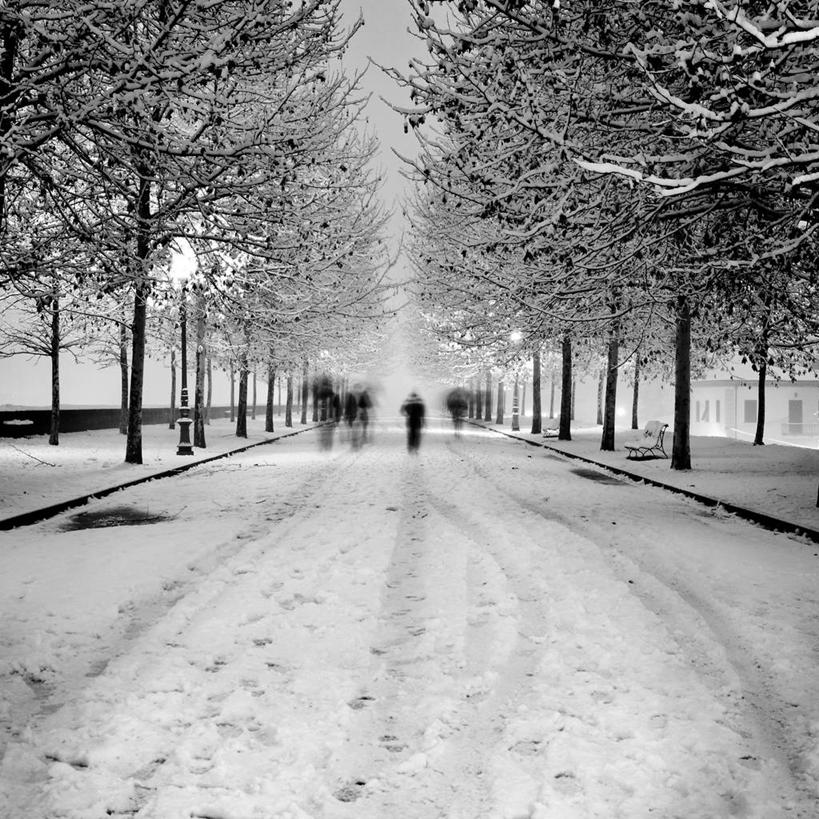 公园,方图,黑白,室外,雪,路灯,椅子,意大利,长椅,冬天,摄影,宁静,透视图,卢卡,步行,彩图,林荫大道