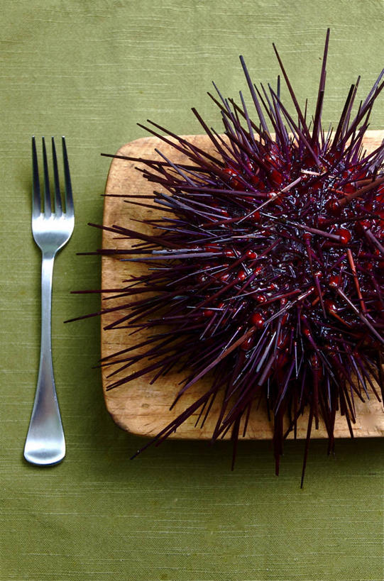 无人,竖图,俯视,室内,白天,晚餐,加拿大,叉,饮食,盘子,摄影,清新,海产,彩图,高角度拍摄