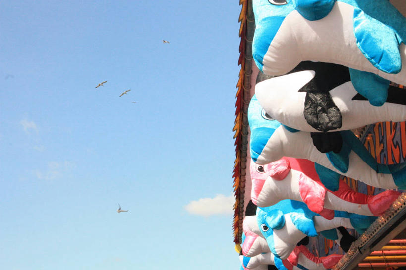 无人,横图,室外,白天,仰视,游戏,海鸥,鲨鱼,玩具,英国,四只,一排,吊挂,悬挂,整齐,鱼,吉祥物,商品,挂,玩,娱乐,货摊,飞,鱼类,海洋生物,排列,天空,休闲,零售,益智,摄影,毛绒玩具,活动,队列,发泄,消遣,智力,水生动物,水生物,凶猛,海底动物,宣泄,残暴,凶残,沙鱼,鲛鲨,玩耍,嬉戏,彩图,低角度拍摄,鲛,布赖顿