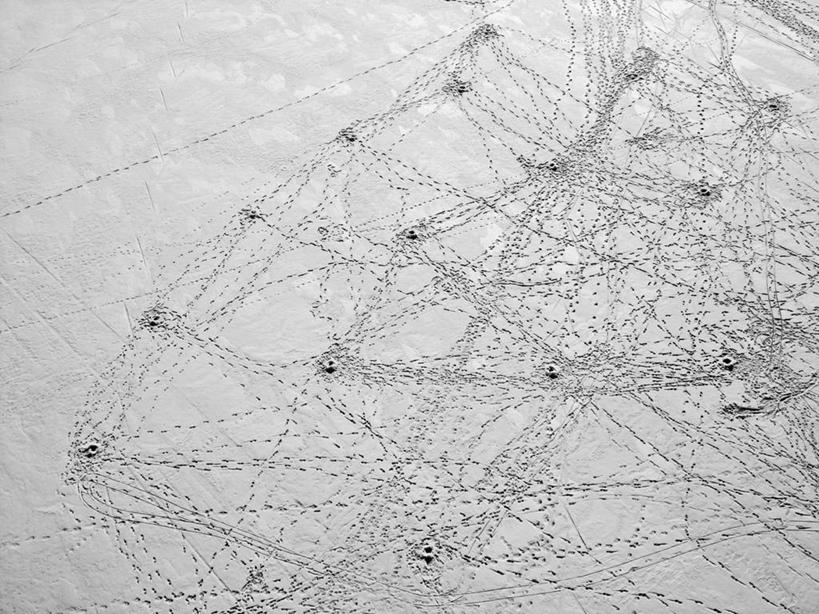 无人,横图,俯视,室外,白天,雪,瑞典,脚印,冰,冬天,首都,联系,白色,寒冷,摄影,冰钓,彩图,高角度拍摄