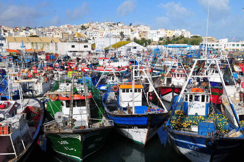 无人,横图,室外,白天,渔业,海洋,摩洛哥,许多,停靠,渔船,很多,夸张,运输,摄影,停泊,彩图