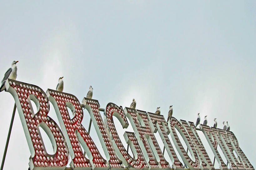 无人,横图,室外,白天,仰视,霓虹灯,海鸥,英国,一排,一群,许多,整齐,鸟类,很多,排列,天空,摄影,栖息,英文字母,电灯泡,队列,大写字母,彩图,低角度拍摄,布赖顿