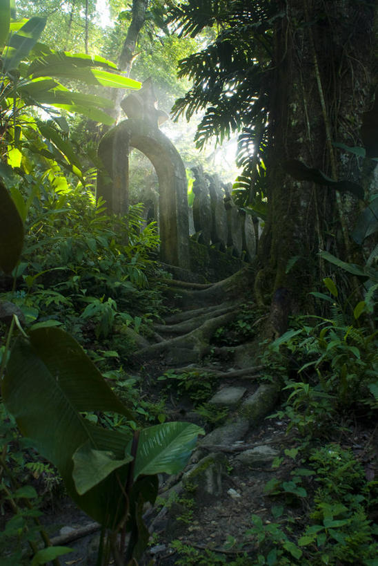 无人,竖图,室外,白天,美景,日光,墨西哥,景观,拱门,根部,树,自然,景色,摄影,宁静,拉丁美洲,自然风光,圣路易斯波托西,彩图