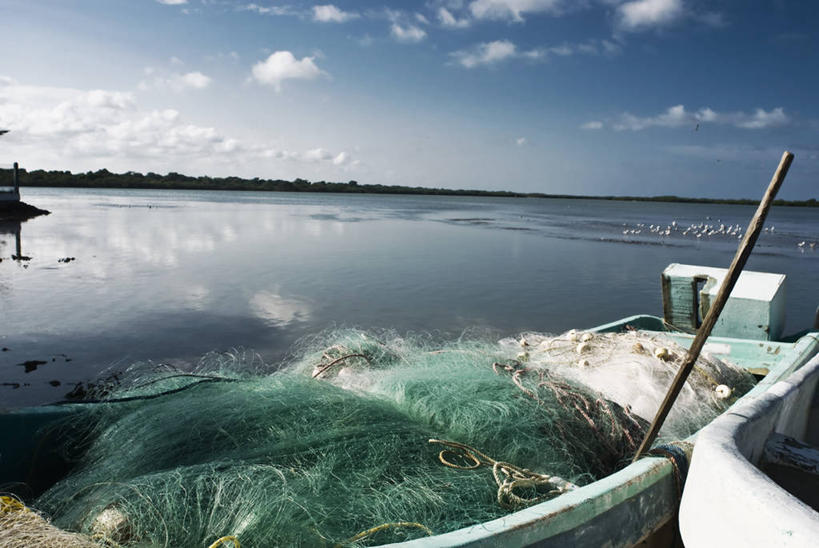 无人,横图,墨西哥,网,渔船,摄影,拉丁美洲,彩图