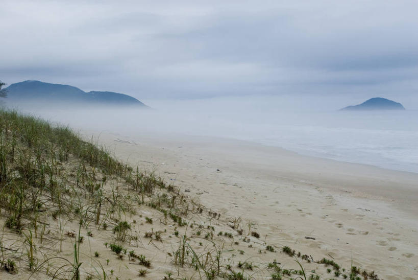 无人,横图,室外,白天,海洋,美景,植物,雾,普拉亚,沙子,景观,自然,动物,景色,摄影,生长,宁静,自然风光,海滩,彩图