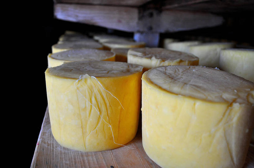 奶酪,无人,横图,烹饪,阿根廷,一群,许多,料理,食品,野餐,很多,菜肴,美食,食物,黄色,摄影,佳肴,创造力,拉丁文,彩图