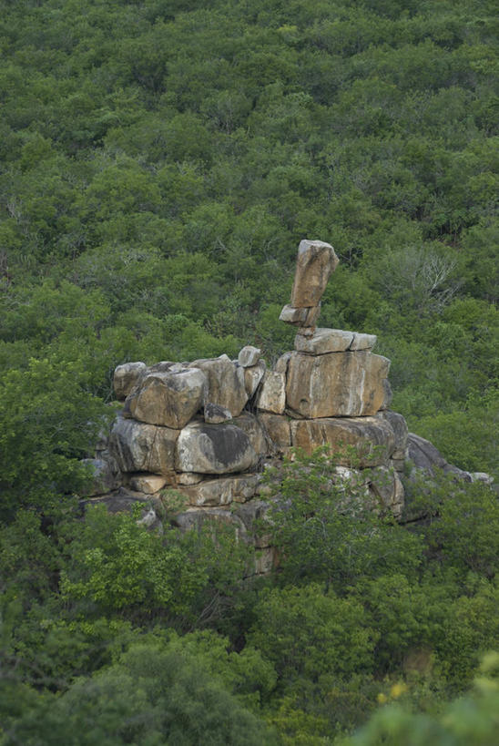 无人,竖图,俯视,室外,白天,旅游,度假,美景,森林,巴西,地形,景观,历史,娱乐,自然,享受,休闲,景色,南美,放松,摄影,灌木,宁静,拉丁美洲,自然风光,水虎鱼,阿拉戈斯,巴西文化,彩图,高角度拍摄