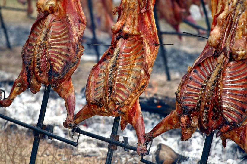 肋骨,无人,横图,室外,阿根廷,脆,废弃,准备,丰富,十字架,田地,食品,饮食,木桩,摄影,清新,销毁,矿物质,门多萨,烧毁,烹调,彩图