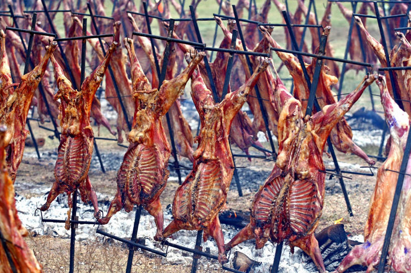 肋骨,无人,横图,室外,阿根廷,脆,废弃,准备,丰富,十字架,田地,食品,饮食,木桩,摄影,清新,销毁,矿物质,门多萨,烧毁,烹调,彩图