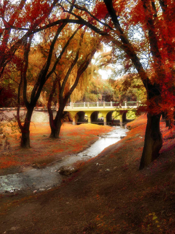 无人,竖图,插画,室外,白天,旅游,度假,数码,科技,美景,日落,水,阿根廷,阴影,网络,地形,景观,桥,高光,几何,计算机图形,合成,图画,娱乐,画,树,小溪,自然,享受,休闲,景色,南美,放松,摄影,宁静,电脑合成图,数码合成图,合成图,拉丁美洲,自然风光,科尔多巴,漫画,科尔多瓦,写实,具体,具象,秋天,彩图