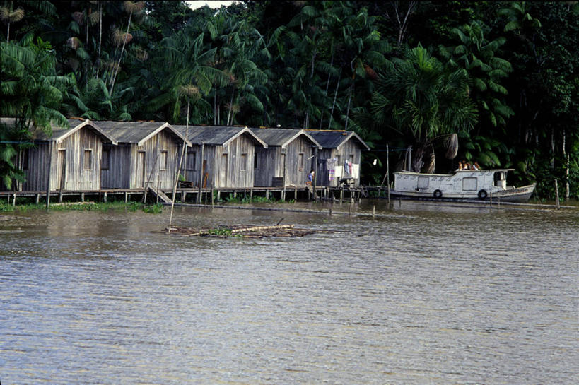 西方人,横图,室外,白天,河流,森林,水,建筑,船,巴西,欧洲,欧洲人,停靠,朦胧,模糊,木制,房屋,南美,摄影,生活方式,宁静,住房,简单,拉丁美洲,停泊,巴西文化,白种人,彩图,亚马逊雨林,白色人种,高加索人种,欧罗巴人种