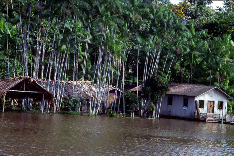 无人,横图,室外,白天,河流,森林,水,建筑,棕榈树,巴西,许多,房屋,很多,树干,南美,摄影,生活方式,宁静,住房,简单,拉丁美洲,巴西文化,彩图,亚马逊雨林